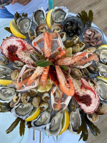 Studio 150 m de plage Golfe de Saint-Tropez