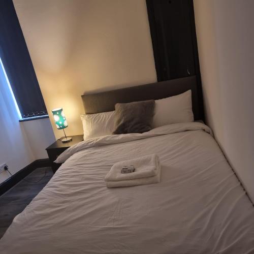Beautiful 11-Bed House in Liverpool