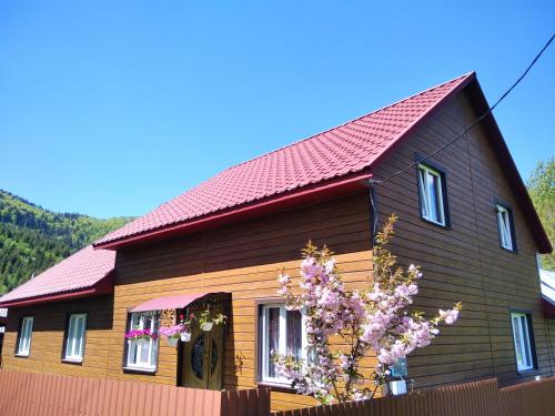 Відпочинок у Карпатах, мінеральні ванни, банний Чан!