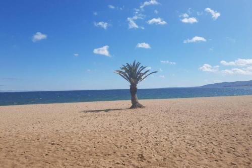 Le Chant De La Mer- Frejus Plage
