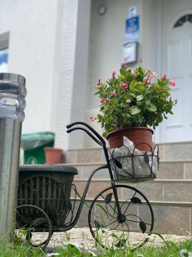 Villa Goldlux - image 12