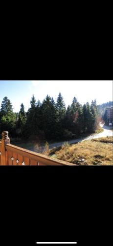 BOROVETS PARADISE HOME SEQVOIA Апартамент с две спални