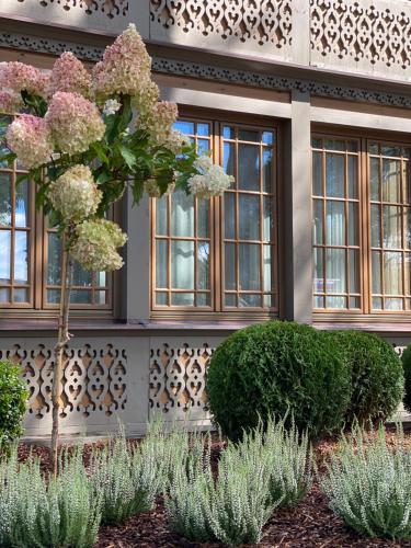 Villa Alvīne Family Apart-Hotel - image 3