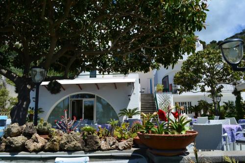 Hotel Maronti in Ischia