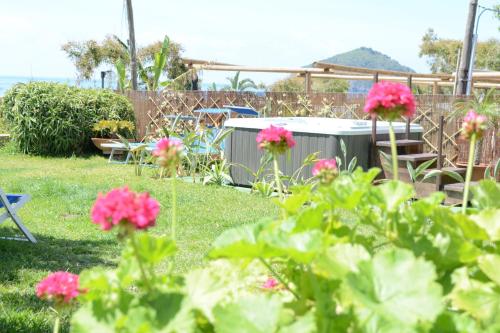 Hotel Maronti - image 2