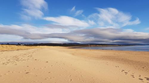 playa, No42 Wild Goose in Dornoch