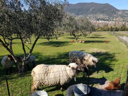 Studio en campagne dans une ferme Bio
