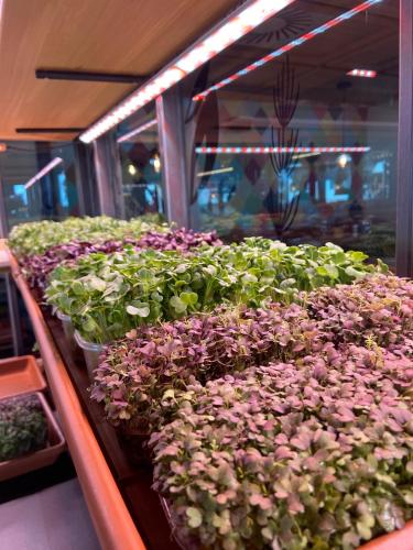 Mountain Hotel Luis - image 7