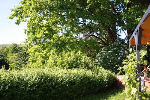 2 Zimmer FeWo mit Außenpool und Sauna 2 Zimmer FeWo mit Außenpool und Sauna