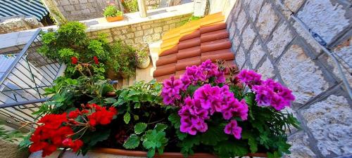 Bed & Breakfast Dionis Vis, Vis (fotografie 7)