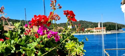 Bed & Breakfast Dionis Vis, Vis (fotografie 4)