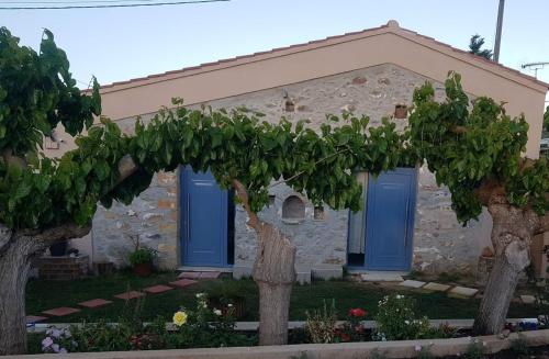 Exterior view, Laini Guest Houses near Monumental Olive Tree of Vouves