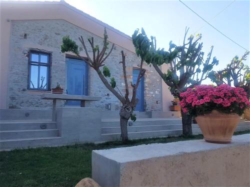 Exterior view, Laini Guest Houses near Monumental Olive Tree of Vouves