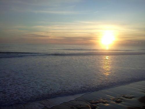 Petite maison indépendante au calme gîte à louer Rosnay