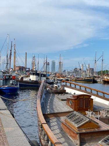 Inn Tourist Hotel & Hostel - image 9