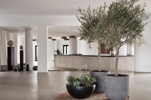 Best Price on Orama Hotel & Spa in Santorini + Reviews!