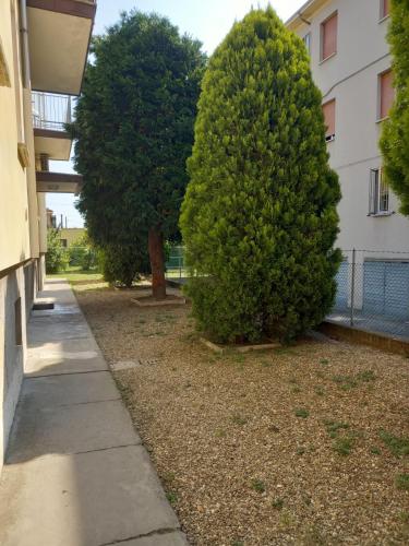 Garden, FLY HOUSE BOLOGNA...un appartamento al volo in Borgo Panigale