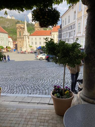 Guesthouse Mikuláš Mikulov - free parking in the city center