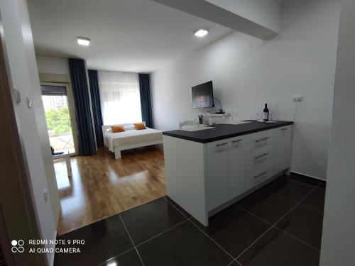 Comfort studio with sea view and swimming pool, Bečići (foto 8)