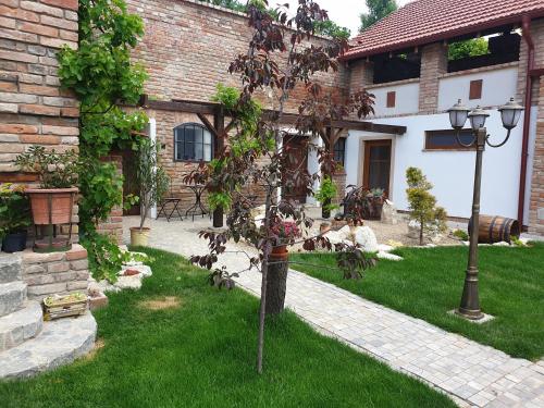 Apartmány in Veritas, Mikulov (fotografie 5)