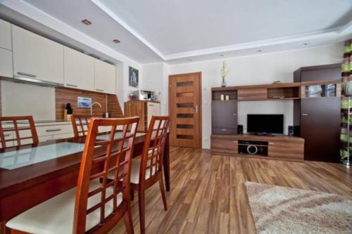 Apartament Oliwkowy, Szklarska Poręba (foto 2)
