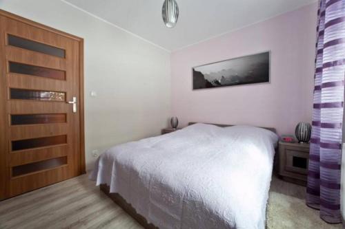 Apartament Oliwkowy, Szklarska Poręba (foto 7)