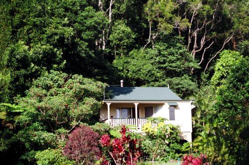 The Falls Montville Rainforest Cottages