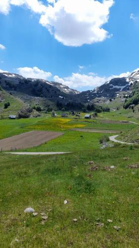 Katun Mokra accommodation & horseback riding