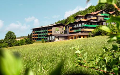 Natura Hotel Bodenmais - inkl Soft- und Heißgetränkeflat 1
