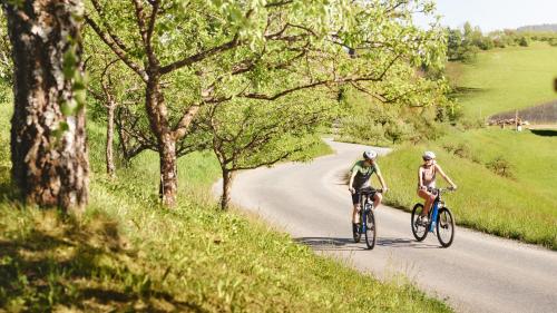 Gut Pössnitzberg - image 5