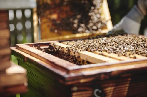 Gut Pössnitzberg - image 4