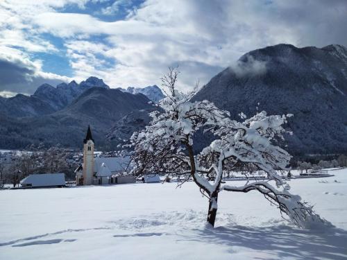 Country house Dovje