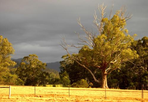 Accommodation in Murrindindi