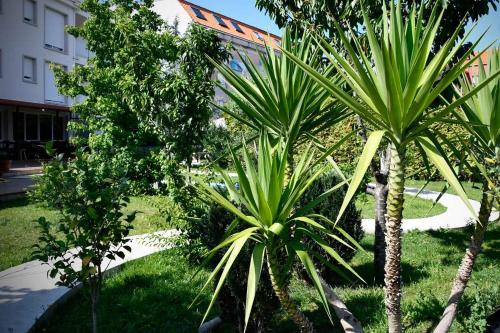  Pincheiro Apartamentos Turísticos in Pobra do Caramiñal