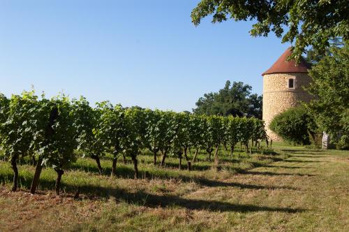 Chateau la Tilleraie