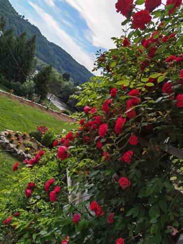 Unaqua Apartments - image 13