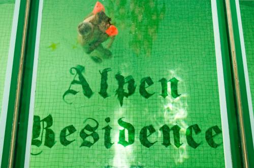 Hotel Alpen Residence - image 12