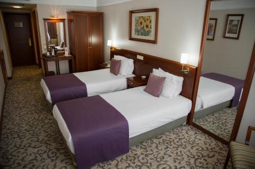 Dila Hotel, Istanbul (photo 3)