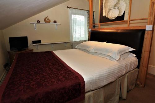 The Berkeley Guesthouse - main image