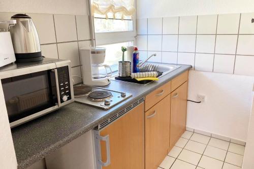 Kitchen, 1 Zimmer Apartment mit Balkon in Glauchau
