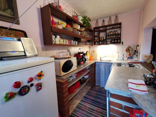 keuken, Katica Vendégház Somogyvár - Ladybird Villa Somogyvár (Katica Vendeghaz Somogyvar - Ladybird Villa Somogyvar) in Somogyvár