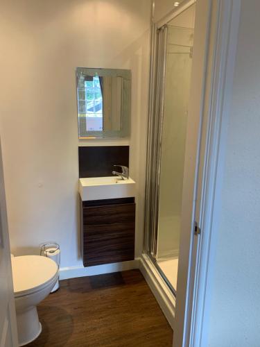 Deluxe Double Room image 9