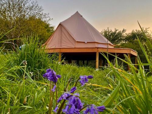 Bluebell Bell Tent - 20 Acres of Natural Beauty gîte à louer Wolf’s Castle