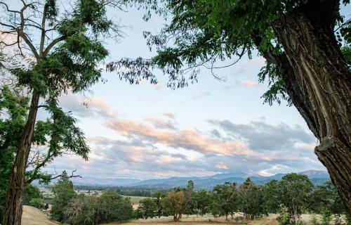 Hummingbird Estate Hummingbird Estate