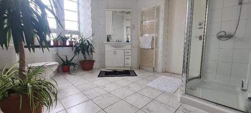 Merchant House in คิกคาล์ดี