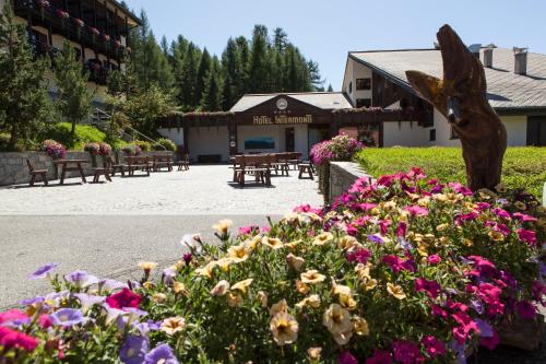 Ski Resorts in Province of Sondrio