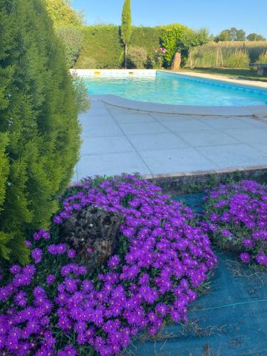 Swimming pool, Chambres et table d'hotes Le cedre Aveyron in Rodez