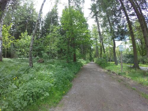 Pension - Der Berghof - image 4