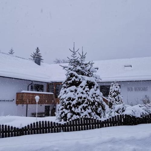 Pension - Der Berghof - image 4