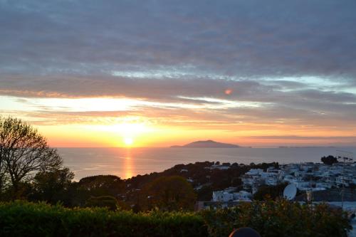 B&B The Sunset - image 14